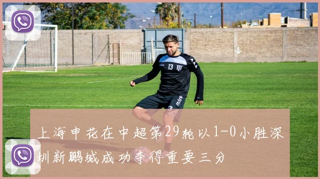 上海申花在中超第29轮以1-0小胜深圳新鹏城成功夺得重要三分